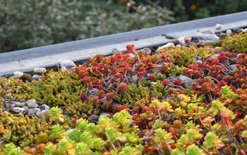 the cost of Killamarsh green roof installation