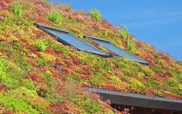 Killamarsh living roof systems